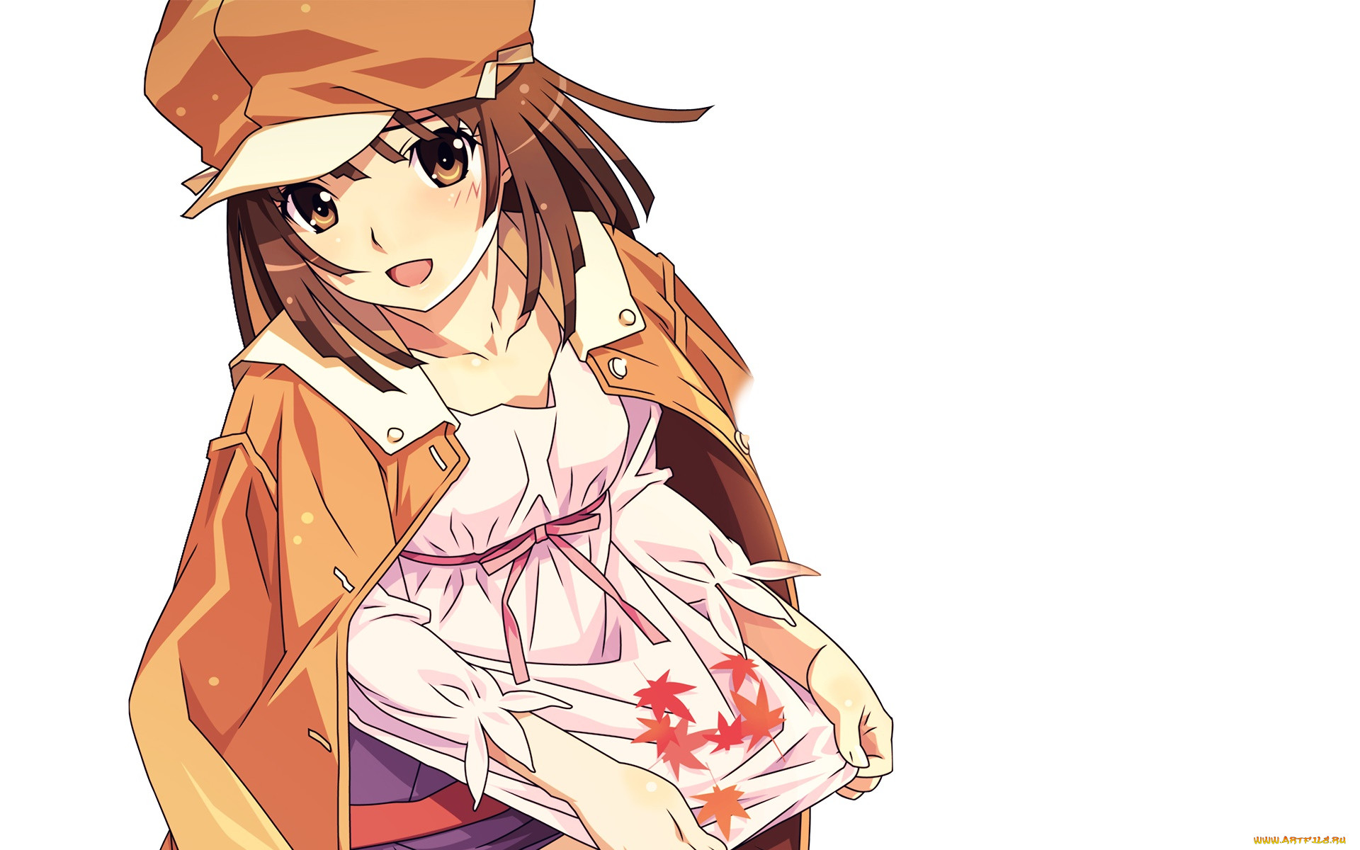 , bakemonogatari, , , 